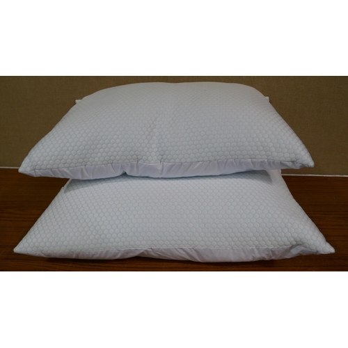 3007 - Hotel Grand Summer/Winter Pillows  (322-44) *This lot is subject to VAT