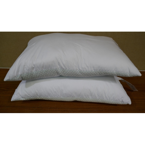 3007 - Hotel Grand Summer/Winter Pillows  (322-44) *This lot is subject to VAT