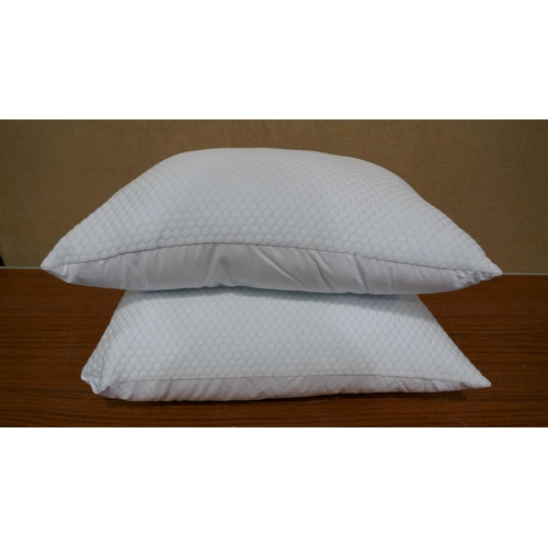 3050 - 2x Hotel Grand Summer Pillows  (327-79 )  * This lot is subject to VAT