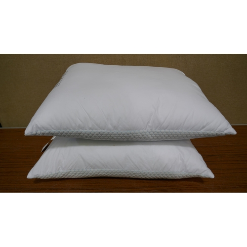 3050 - 2x Hotel Grand Summer Pillows  (327-79 )  * This lot is subject to VAT