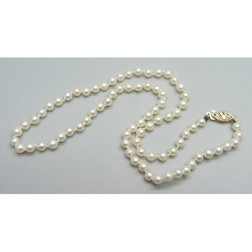 1006 - A string of 9ct gold mounted cultured pearls