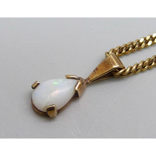 1033 - A yellow metal pendant set with an opal, on a 9ct gold chain, 4.3g, chain 39cm