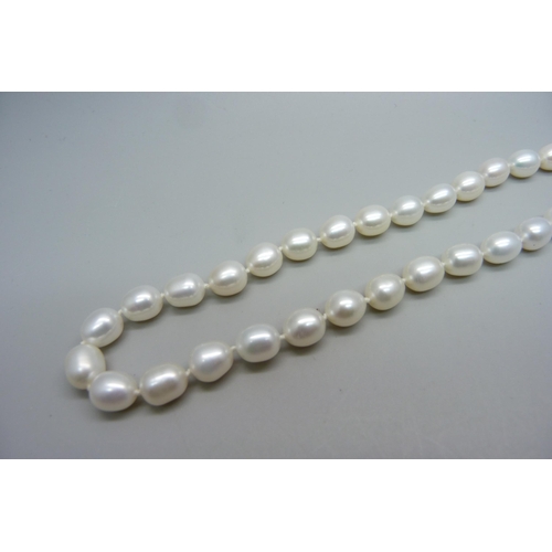 1130 - A pearl necklace with 18ct white gold fastener marked 750