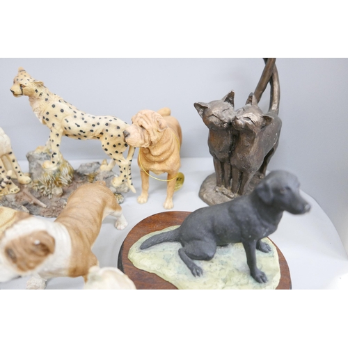 1214 - A collection of models of dogs and cats including Danbury Mint and Leonardo collection **PLEASE NOTE... 