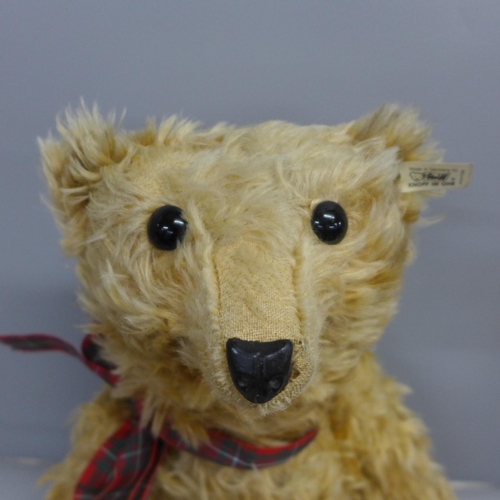 748 - A large Steiff bear, 52cm