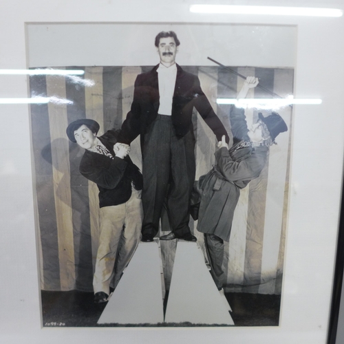 819 - A Marx Bros autographed display with Certificate of Authenticity