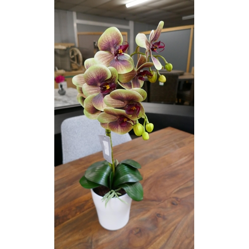1452 - A tall two stemmed artificial Orchid, H 55cms (55764110)   #