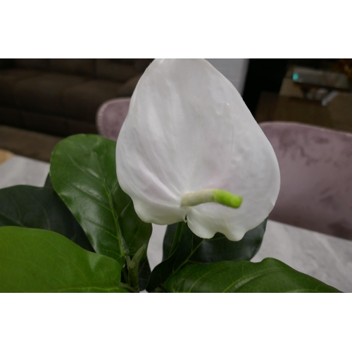 1476 - An artificial Anthurium and Ficus potted arrangement, H 50cms (54863117)   #