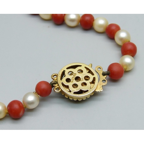 1039 - A red coral and cultured pearl necklace, largest bead 1cm, on a 9ct gold clasp set with garnets and ... 