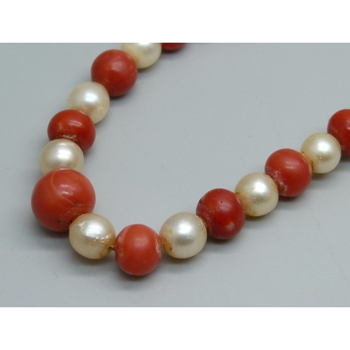1039 - A red coral and cultured pearl necklace, largest bead 1cm, on a 9ct gold clasp set with garnets and ... 
