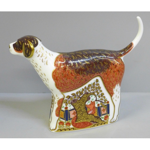 629 - A Royal Crown Derby foxhound paperweight, a signature pre-release of 250 made exclusively for Sincla... 