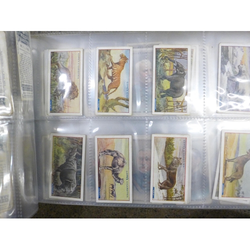 762 - A collection of cigarette cards