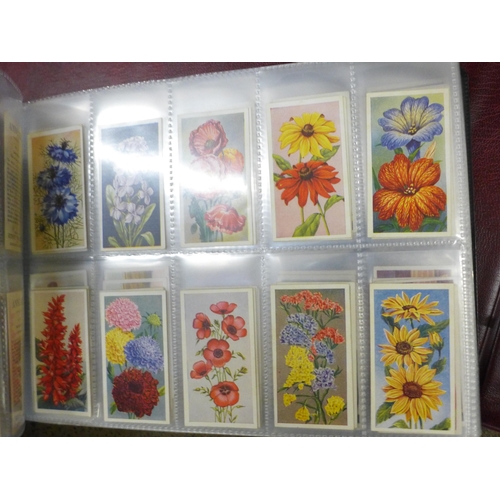 762 - A collection of cigarette cards