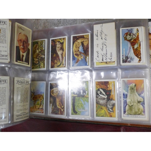762 - A collection of cigarette cards