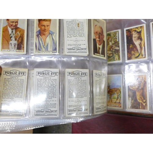 762 - A collection of cigarette cards