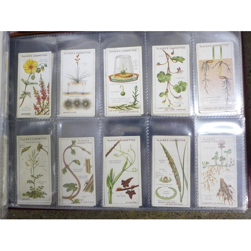 762 - A collection of cigarette cards