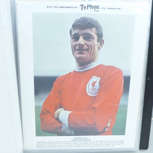 797A - A collection of TyPhoo Tea large footballers picture cards, 45 in total