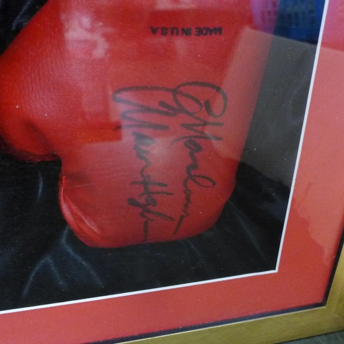 816 - A signed Marvin Hagler boxing glove display