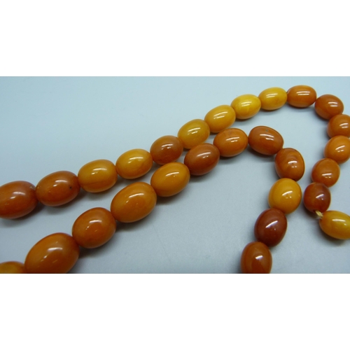 953 - A string of butterscotch amber beads, 31g