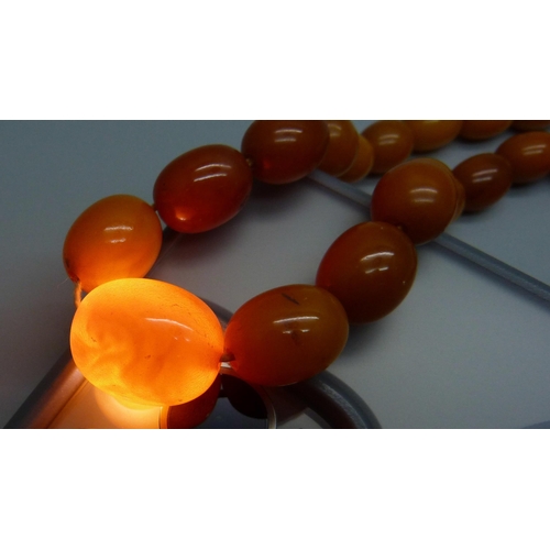 953 - A string of butterscotch amber beads, 31g