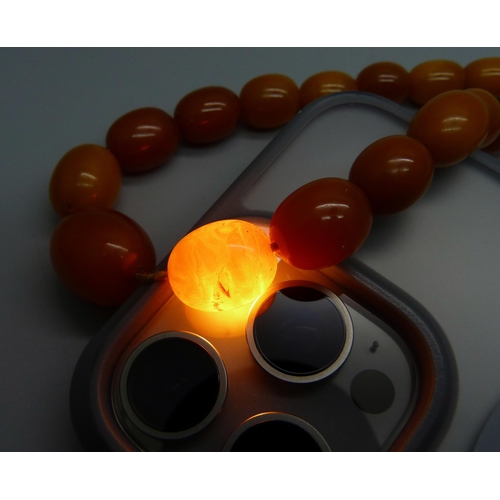 953 - A string of butterscotch amber beads, 31g