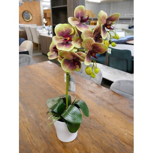 1343 - A tall twin stemmed artificial Orchid, H 55cms (55764110)   #