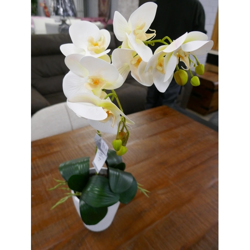 1360 - A tall twin stemmed artificial Orchid, H 55cms (54864110)   #