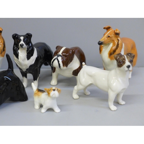 642 - Eight Beswick models of dogs, Scottie, Jack Russell, pup and Bulldog