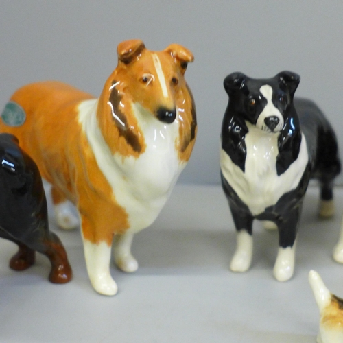 642 - Eight Beswick models of dogs, Scottie, Jack Russell, pup and Bulldog