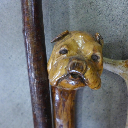 824 - Walking sticks including one with carved dog's head and a swagger stick