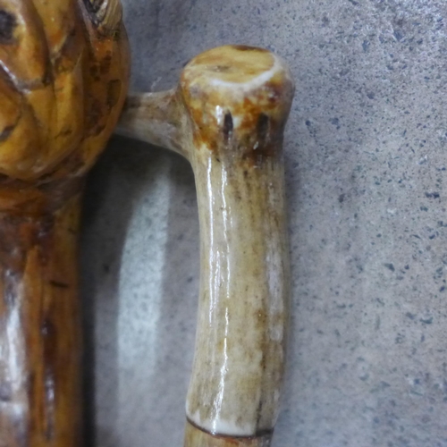 824 - Walking sticks including one with carved dog's head and a swagger stick