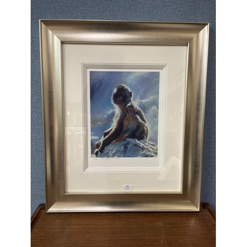 300 - Rolf Harris, Backlit Babboons, Gibralter, limited edition print, no. 45/195, framed