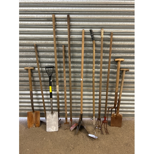 2226A - A quantity of garden tools including  forks, spades, plough etc.