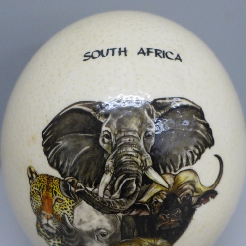 645 - A painted ostrich egg, South Africa