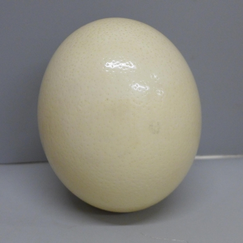 645 - A painted ostrich egg, South Africa