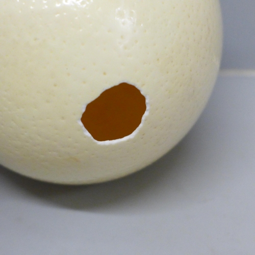 645 - A painted ostrich egg, South Africa