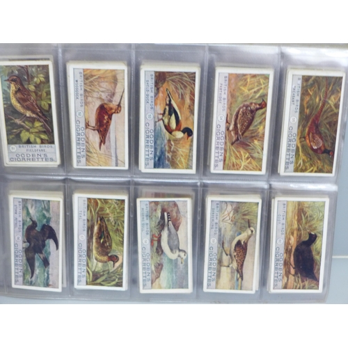 648 - Cigarette cards; 8 complete sets, inc. Players, Cats, Country Sports; Ogdens birds (3), ERB etc., 28... 