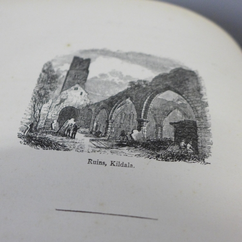 794 - One volume, The History of The Irish Nation, by M. F. Cusack