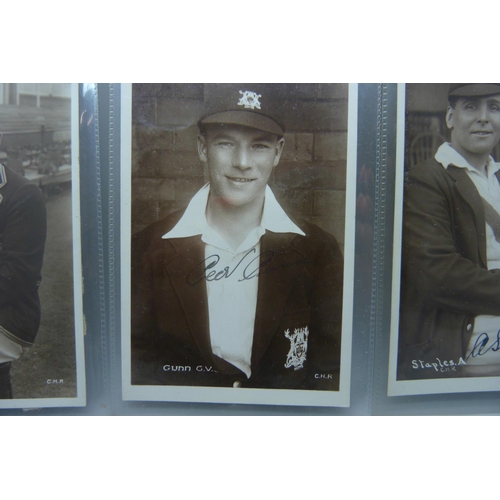 842 - Three autographed cricket photograph postcards, Nottinghamshire County Cricket Club players Larwood,... 