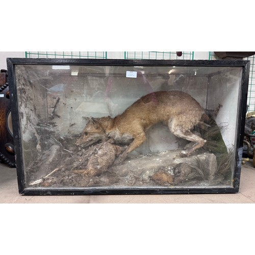 322 - An early 20th Century cased taxidermy fox