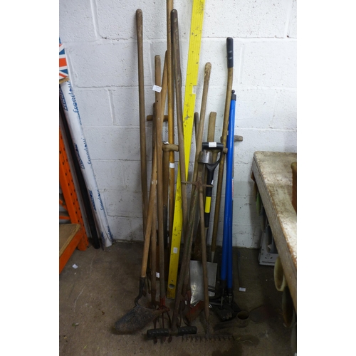 2165 - A quantity of garden tools including  forks, spades, plough, rakes, hoes etc.