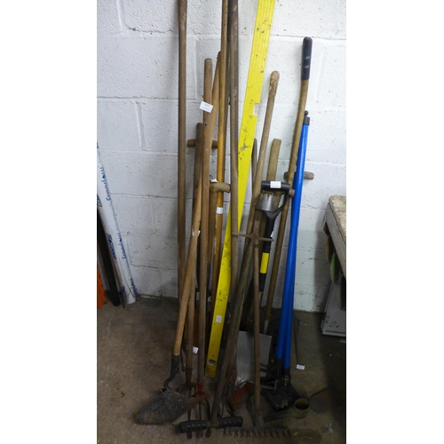 2165 - A quantity of garden tools including  forks, spades, plough, rakes, hoes etc.