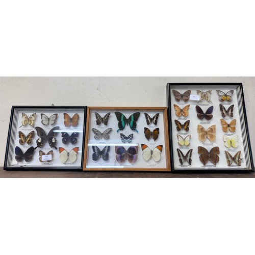 338 - Three framed sets of mounted butterflies