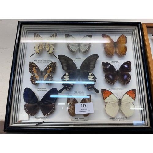 338 - Three framed sets of mounted butterflies