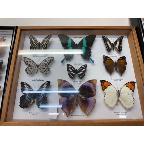 338 - Three framed sets of mounted butterflies