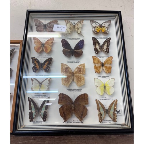 338 - Three framed sets of mounted butterflies