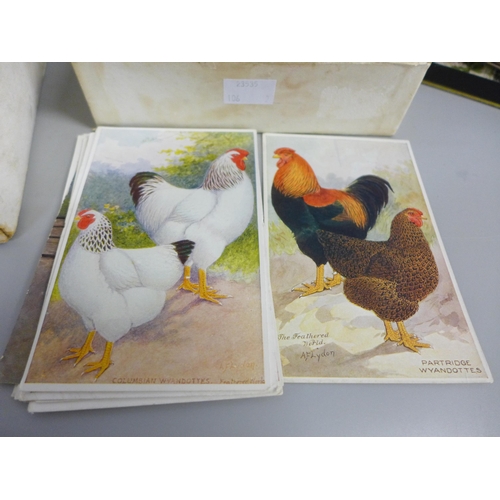 766 - A box of approximately thirty sets of cigarette cards in packets, Feathered World postcards, black a... 