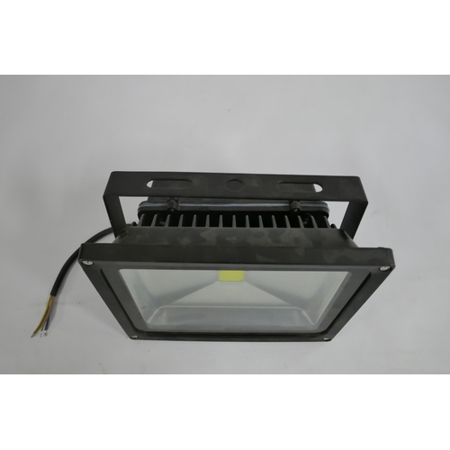 2095 - A 30w LED flood light