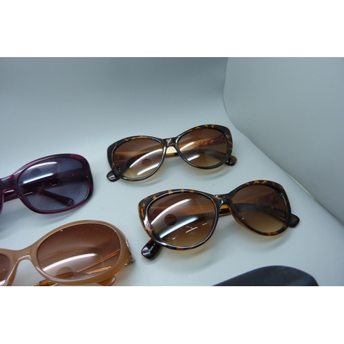 834 - A collection of lady's sunglasses including Persol and Barbour