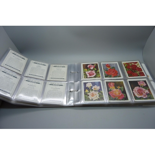 837 - CIGARETTE CARDS, six complete large Wills sets, including Old Inns 1st, Authors, Roses, etc., 225